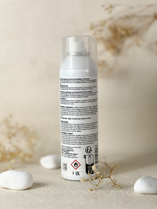 SHAMPOING SEC N°4D