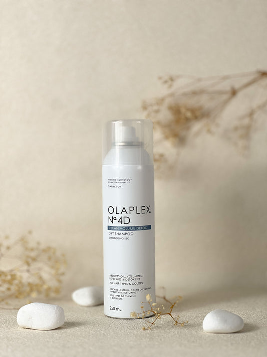 SHAMPOING SEC N°4D